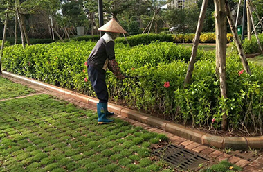 信邦制药：公司目前研发项目主要包括中药材种植技术研究、中药材质量提升研究、中药饮片炮制工艺提升研究、大健康产品研发等
